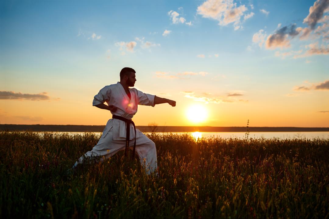 artes marciales tipos